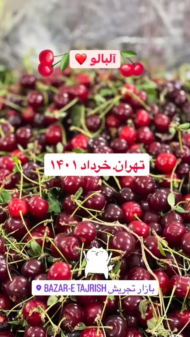 Post 4 by Fariba on Instagram (video)