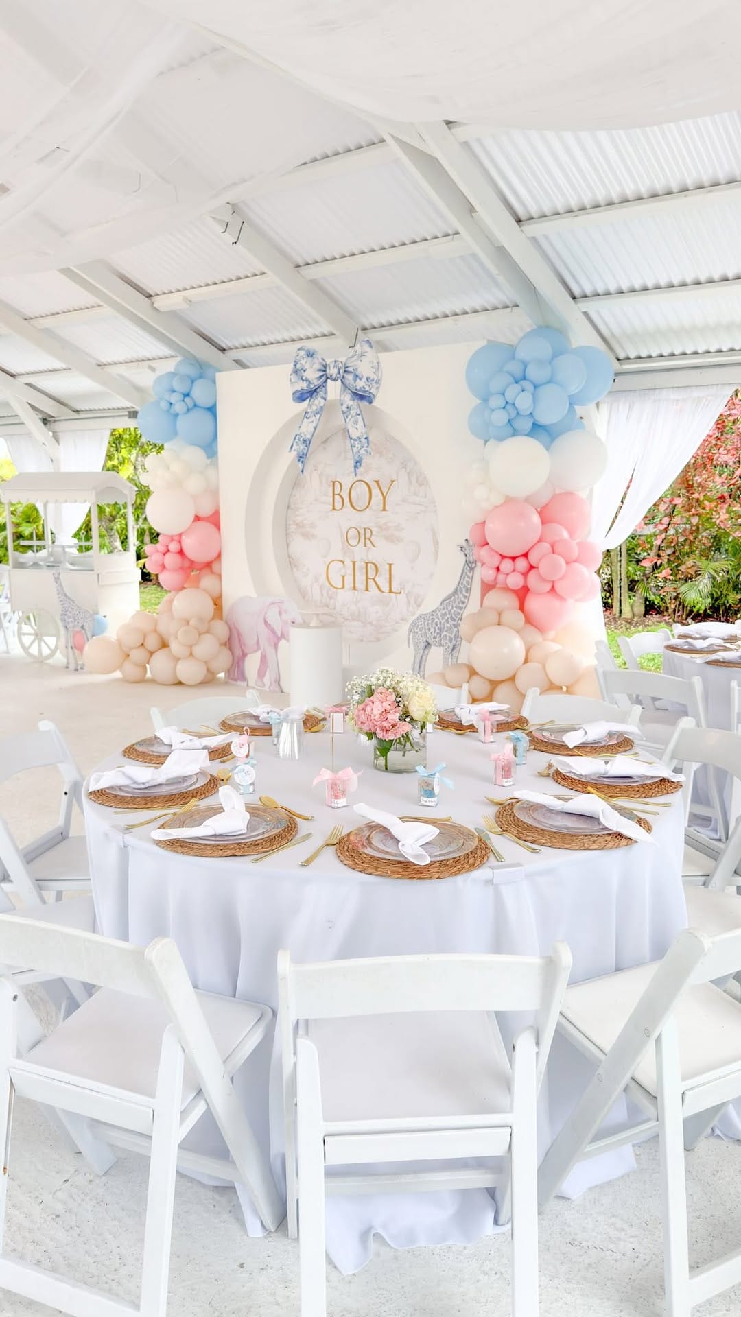 Post 7 by Gender Reveal Miami on Instagram (video)