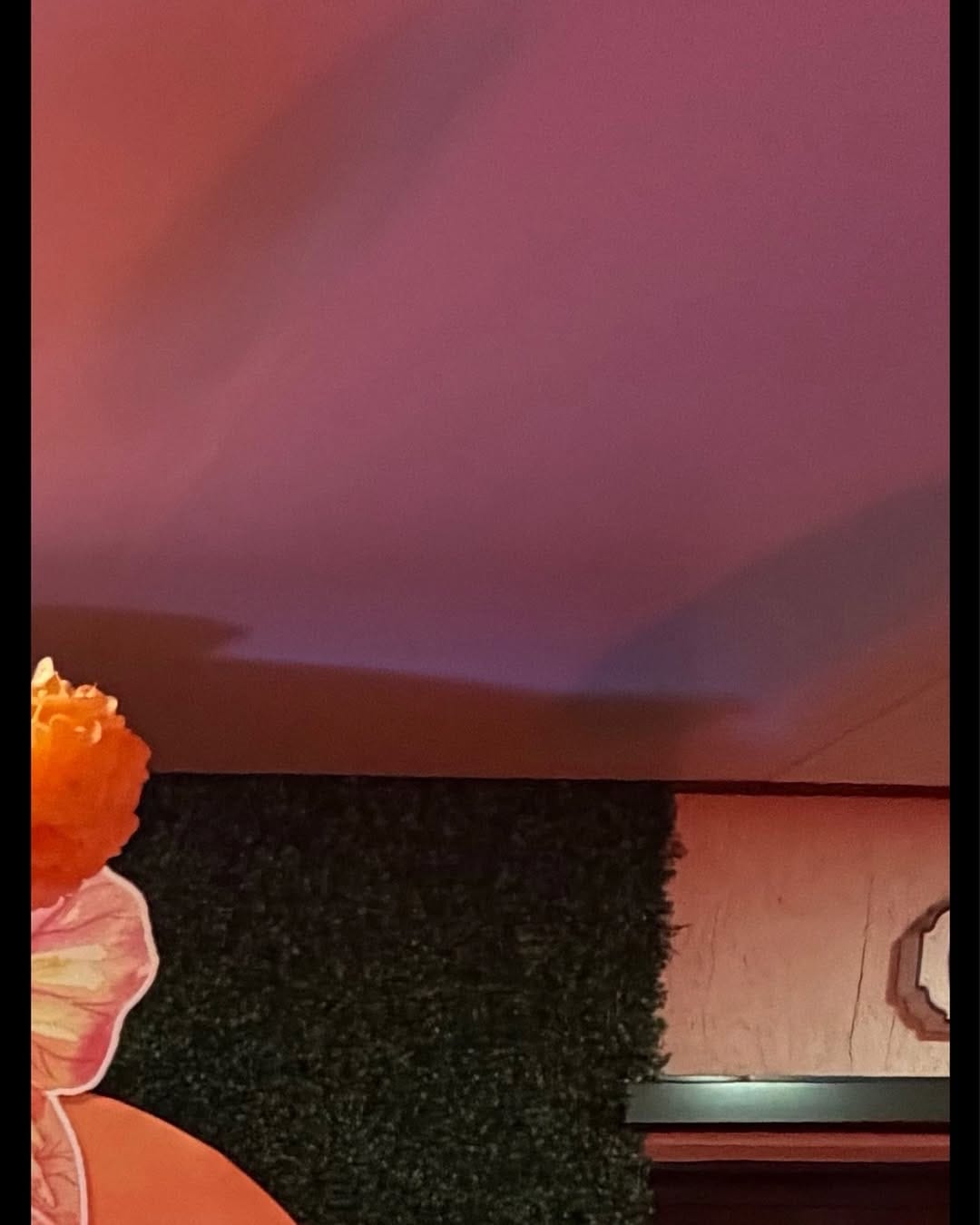Post 3 by 𝐒𝐨𝐫𝐩𝐫𝐞𝐬𝐚𝐬 𝐏𝐚𝐫𝐭𝐲 𝐑𝐞𝐧𝐭𝐚𝐥 on Instagram (image)