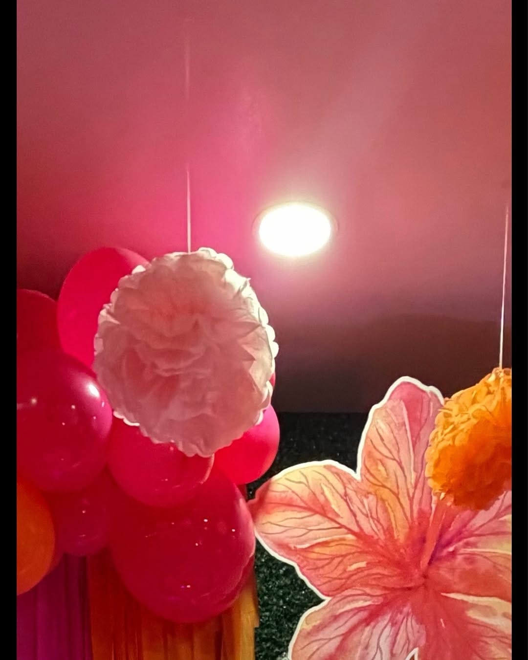 Post 2 by 𝐒𝐨𝐫𝐩𝐫𝐞𝐬𝐚𝐬 𝐏𝐚𝐫𝐭𝐲 𝐑𝐞𝐧𝐭𝐚𝐥 on Instagram (image)