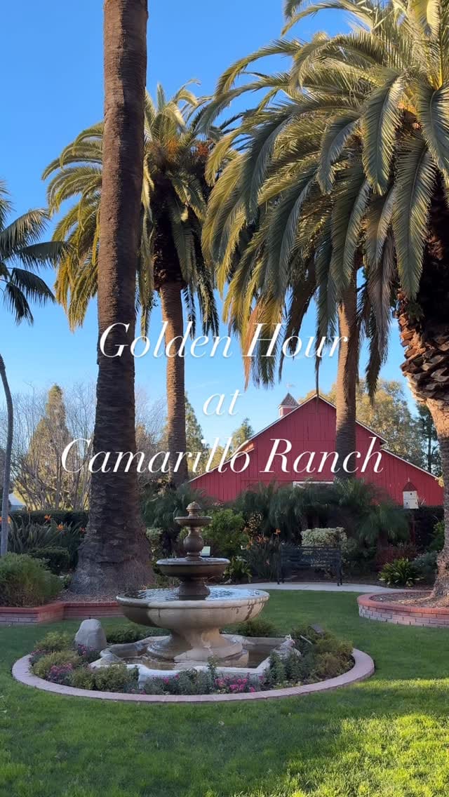 Post 8 by Camarillo Ranch on Instagram (video)
