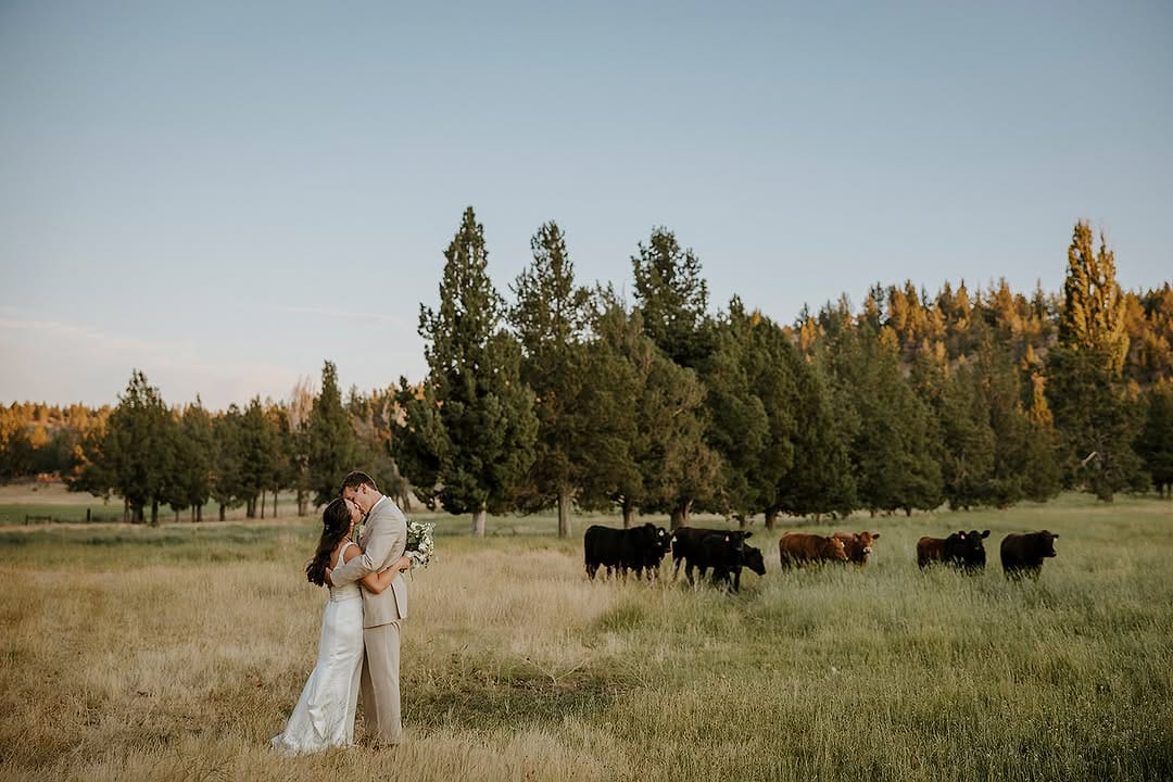 Post 7 by The Long Hollow Ranch on Instagram (image)