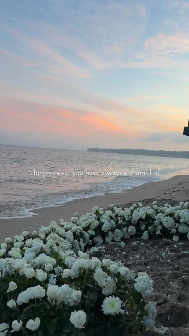 Post 1 by PROPOSAL PLANNERS | PROPOSALS on Instagram (video)