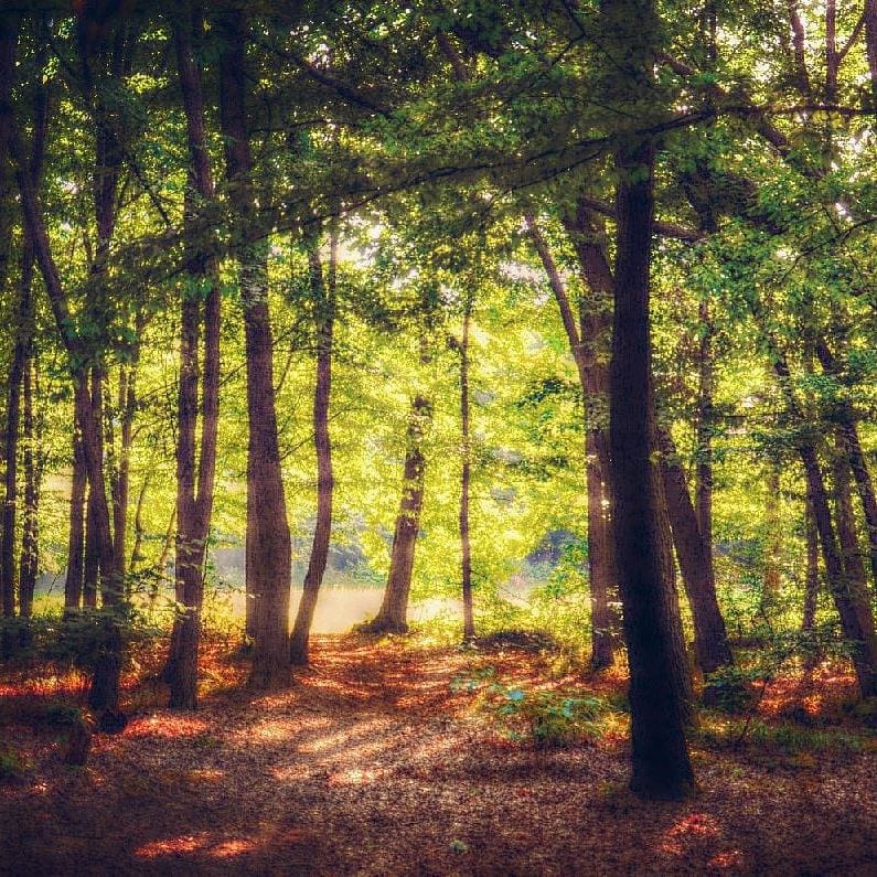 Post 10 by Joseph Ducreux on Instagram (image)