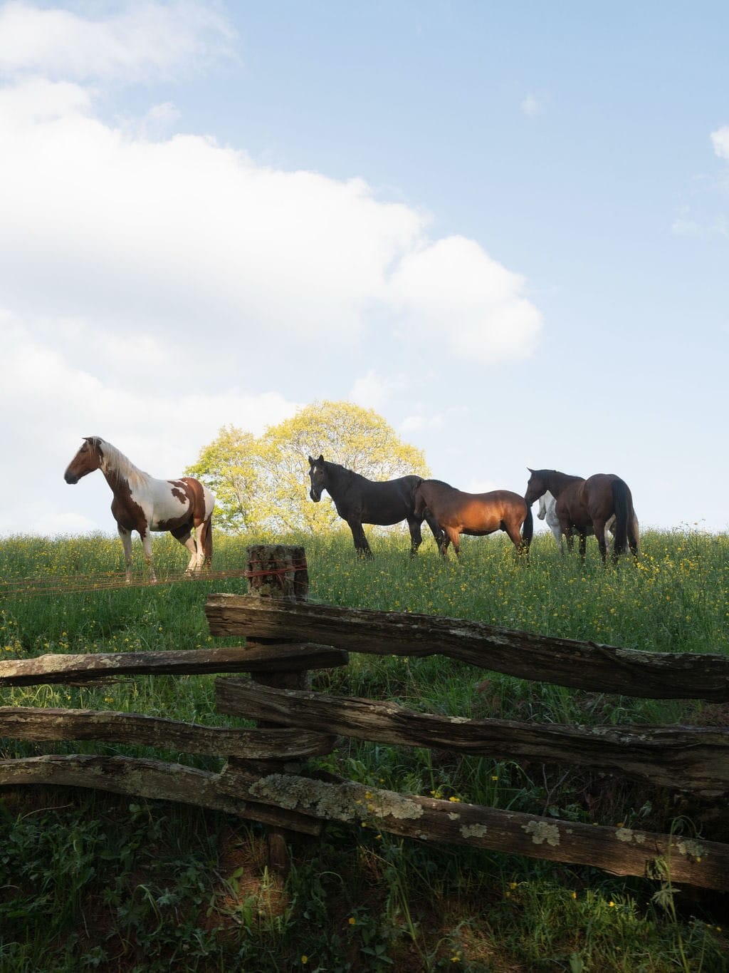 Post 2 by A Day in May Events on Instagram (carousel)