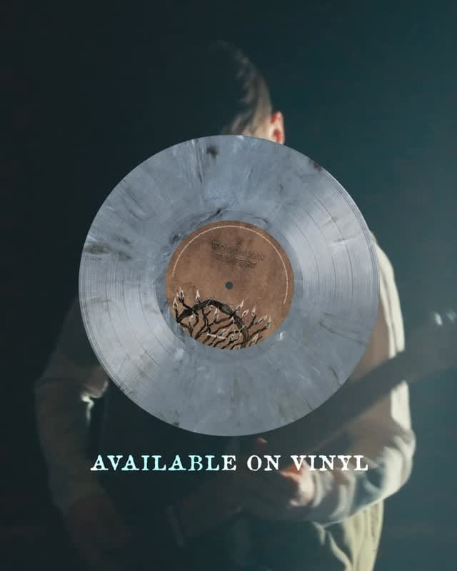 Post 5 by Rolo Tomassi on Instagram (video)