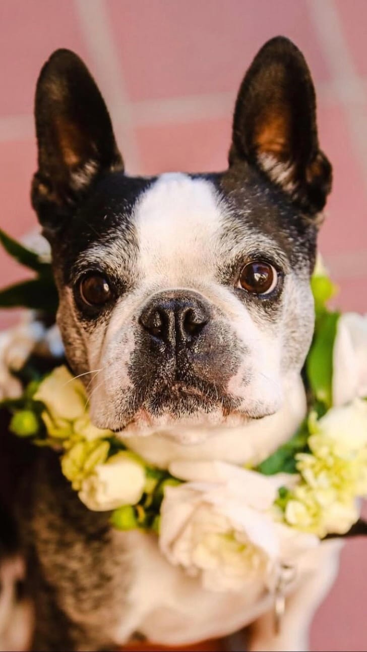 Post 1 by San Diego Wedding Planner on Instagram (video)