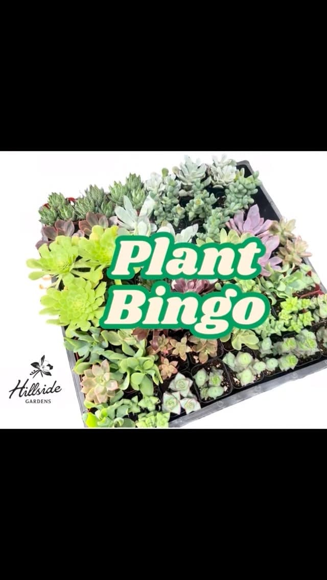 Post 4 by Hillside Gardens on Instagram (video)