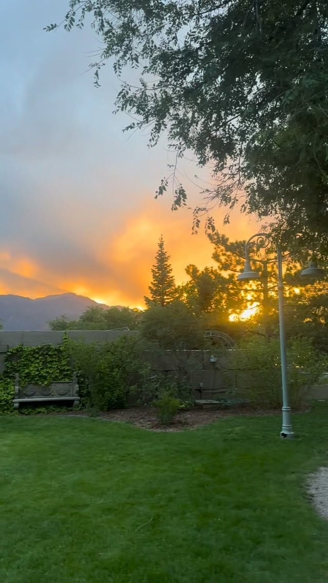 Post 1 by Hillside Gardens on Instagram (video)