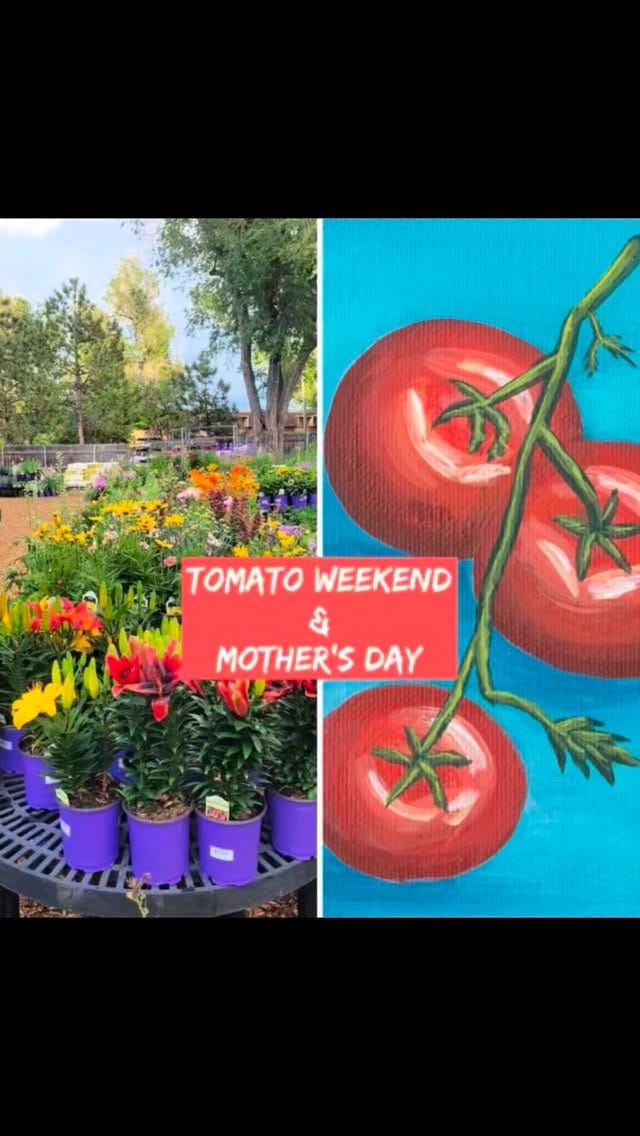 Post 5 by Hillside Gardens on Instagram (video)