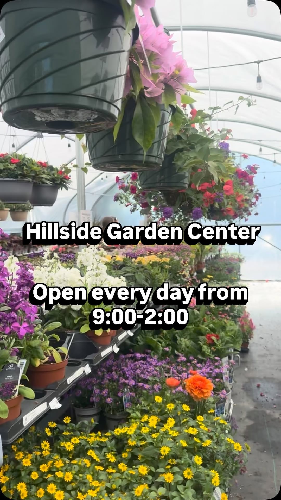 Post 3 by Hillside Gardens on Instagram (video)