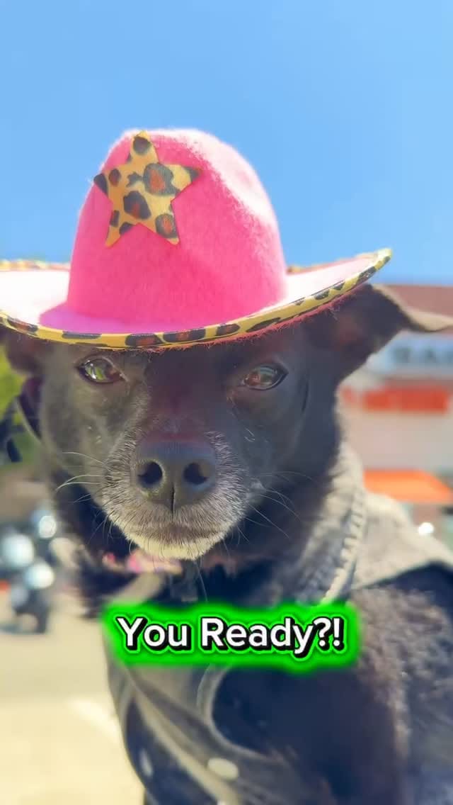 Post 4 by Quaid Harley-Davidson on Instagram (video)