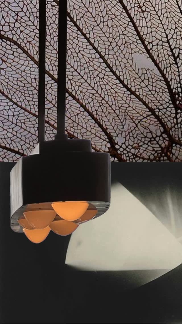 Post 7 by MELANIE RAINES on Instagram (video)