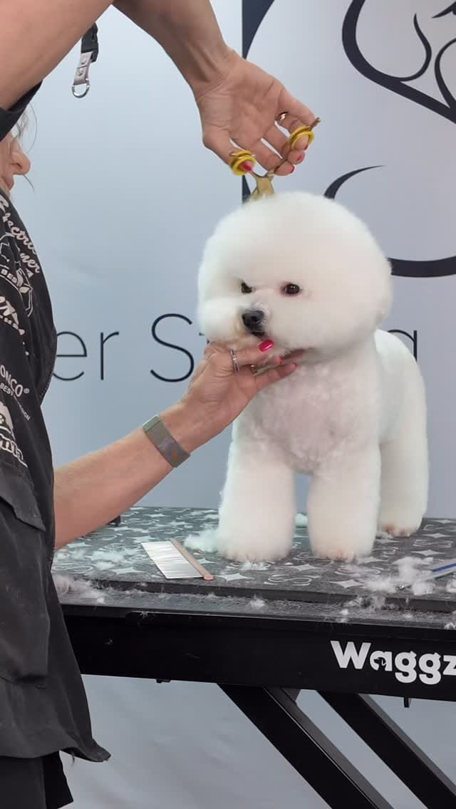 Post 4 by Super Styling Sessions TV on Instagram (video)