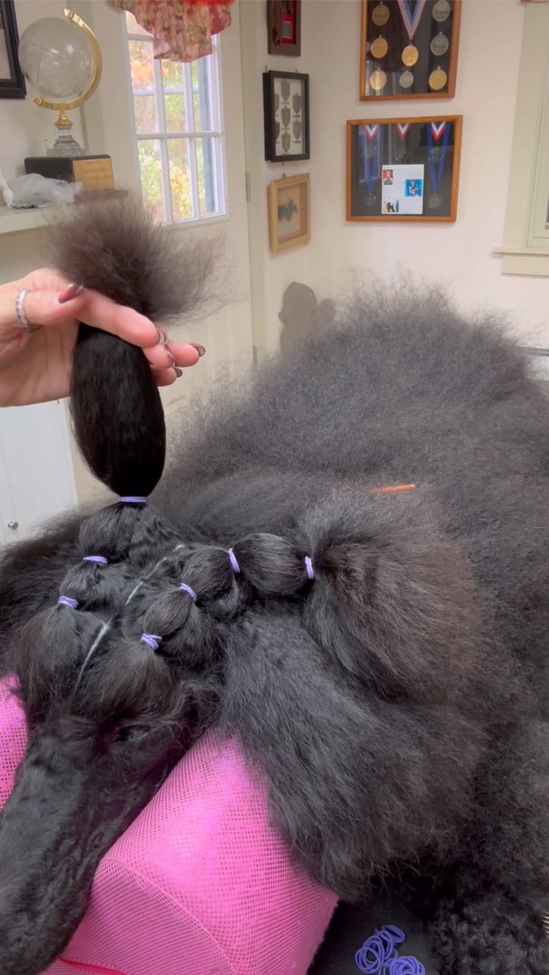 Post 10 by Super Styling Sessions TV on Instagram (video)