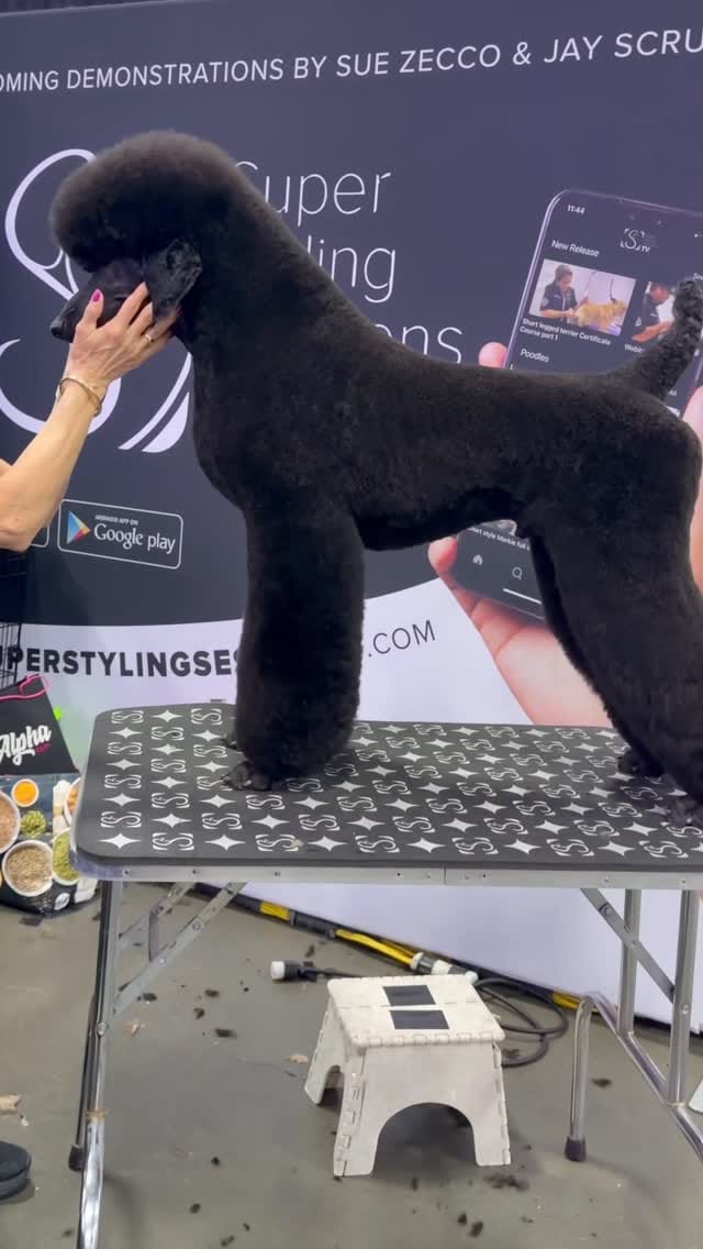 Post 2 by Super Styling Sessions TV on Instagram (video)