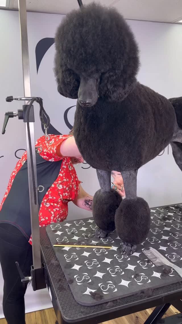 Post 8 by Super Styling Sessions TV on Instagram (video)