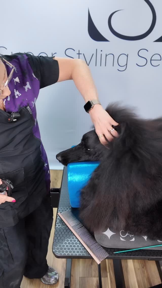Post 6 by Super Styling Sessions TV on Instagram (video)