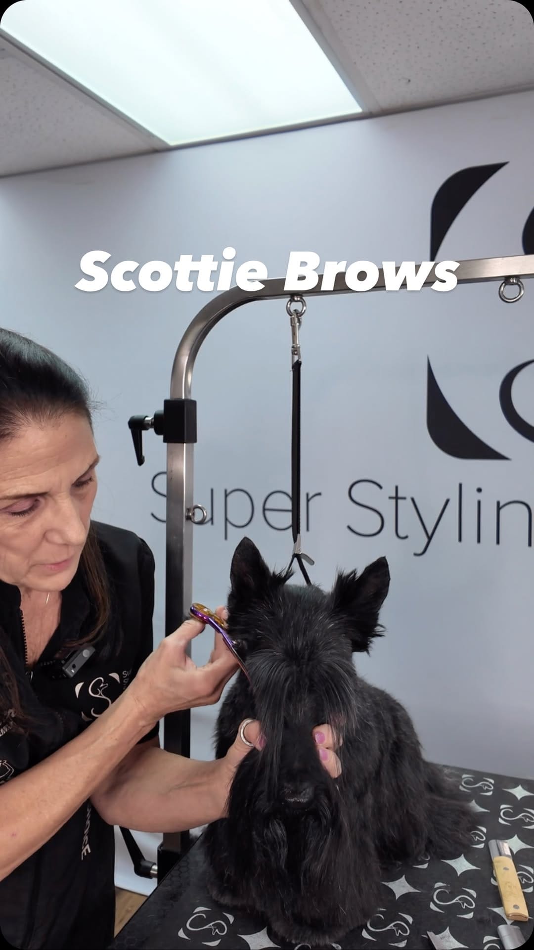 Post 7 by Super Styling Sessions TV on Instagram (video)