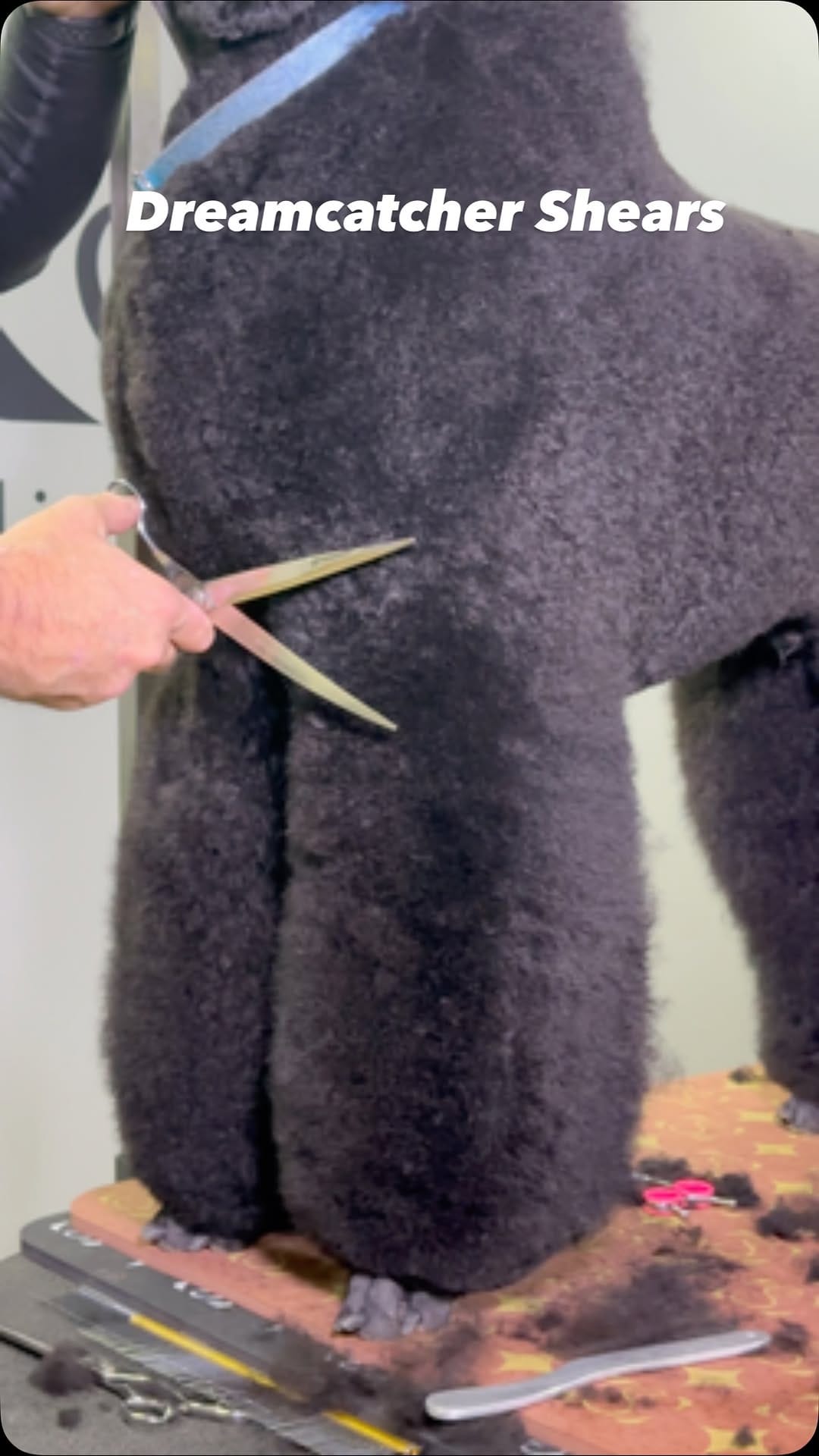 Post 1 by Super Styling Sessions TV on Instagram (video)