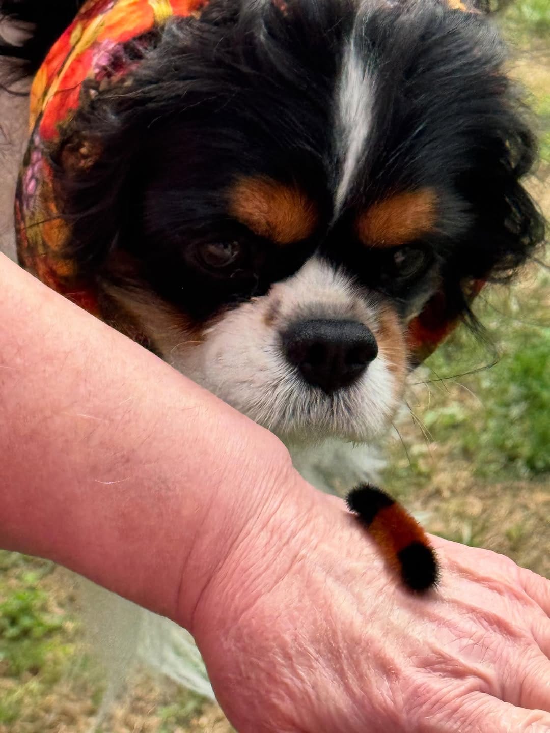 Post 7 by Penny on Instagram (carousel)