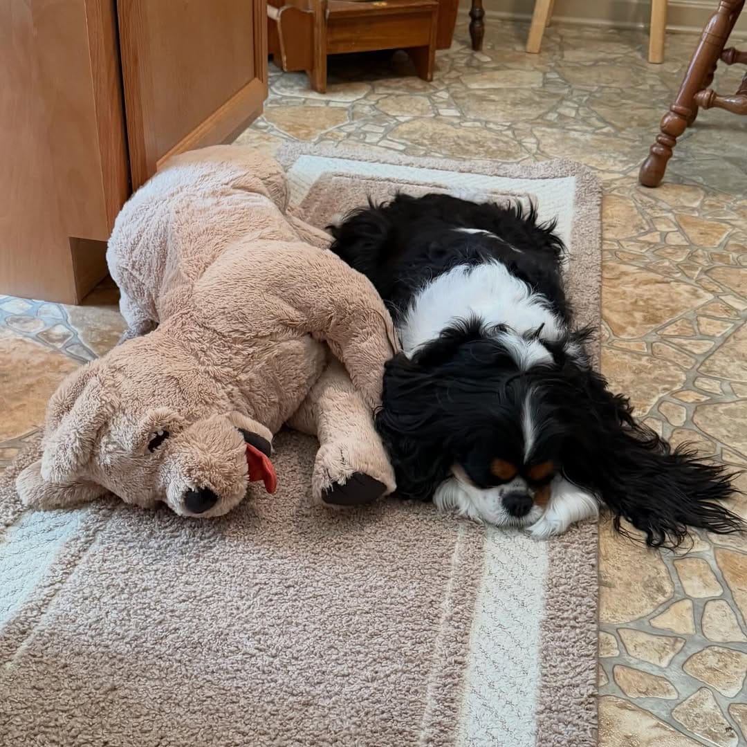 Post 3 by Penny on Instagram (image)