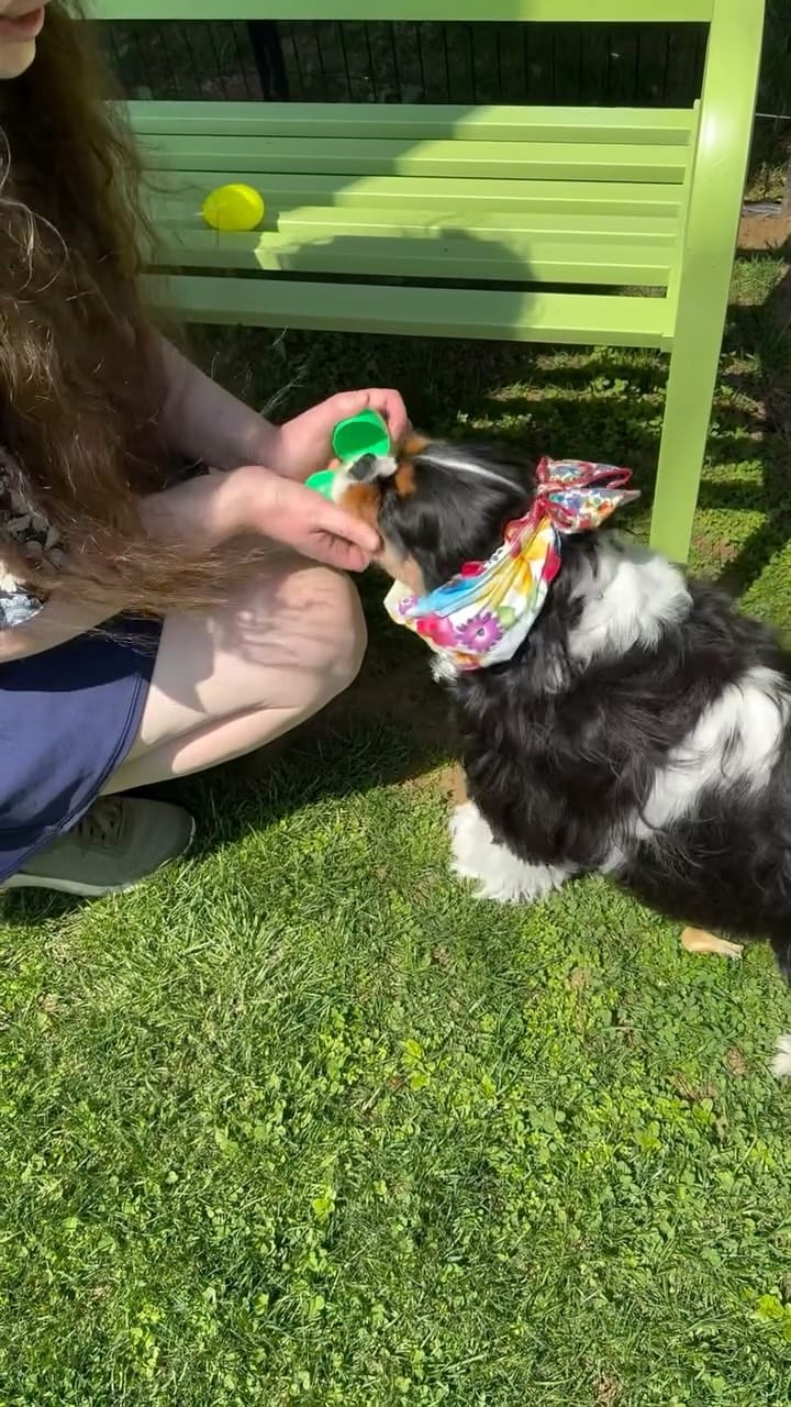 Post 1 by Penny on Instagram (video)