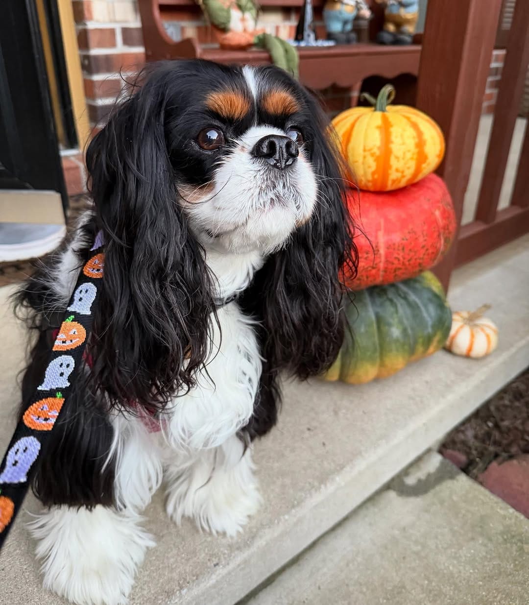 Post 4 by Penny on Instagram (image)