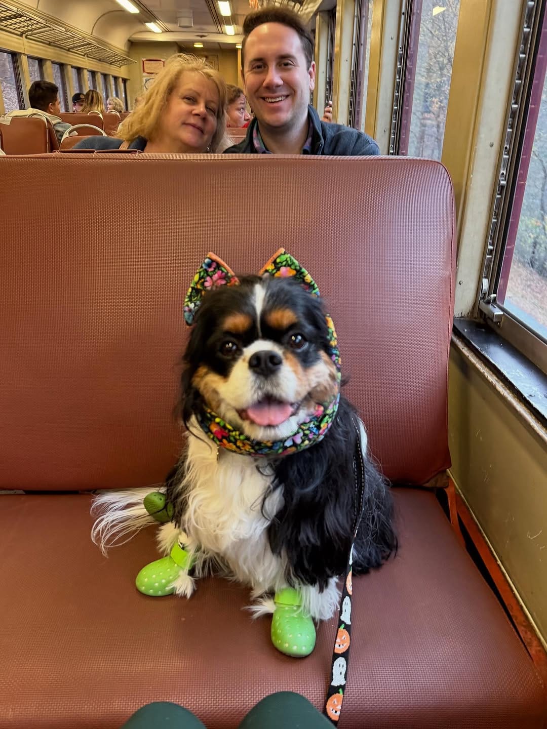 Post 5 by Penny on Instagram (carousel)