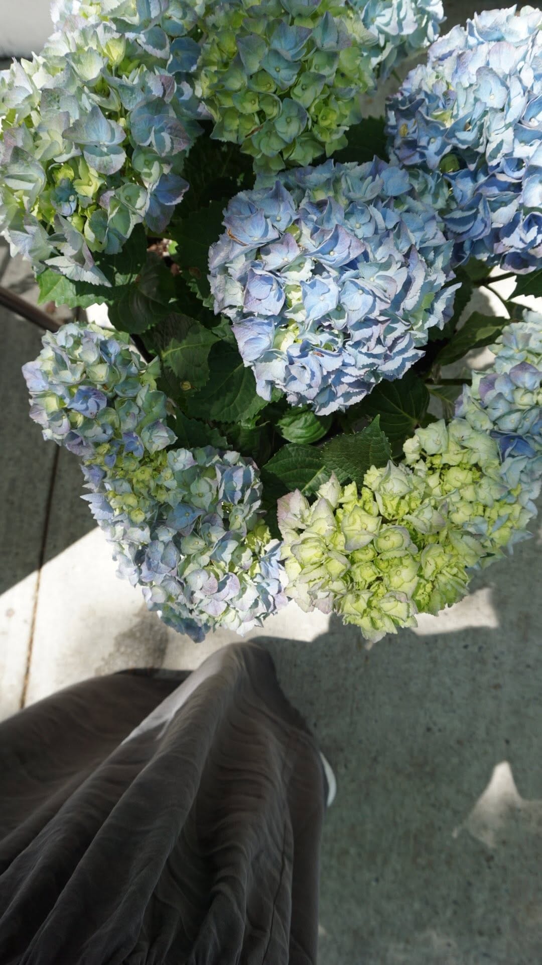 Post 6 by 37TH BURLEIGH INTERIOR DESIGN on Instagram (video)