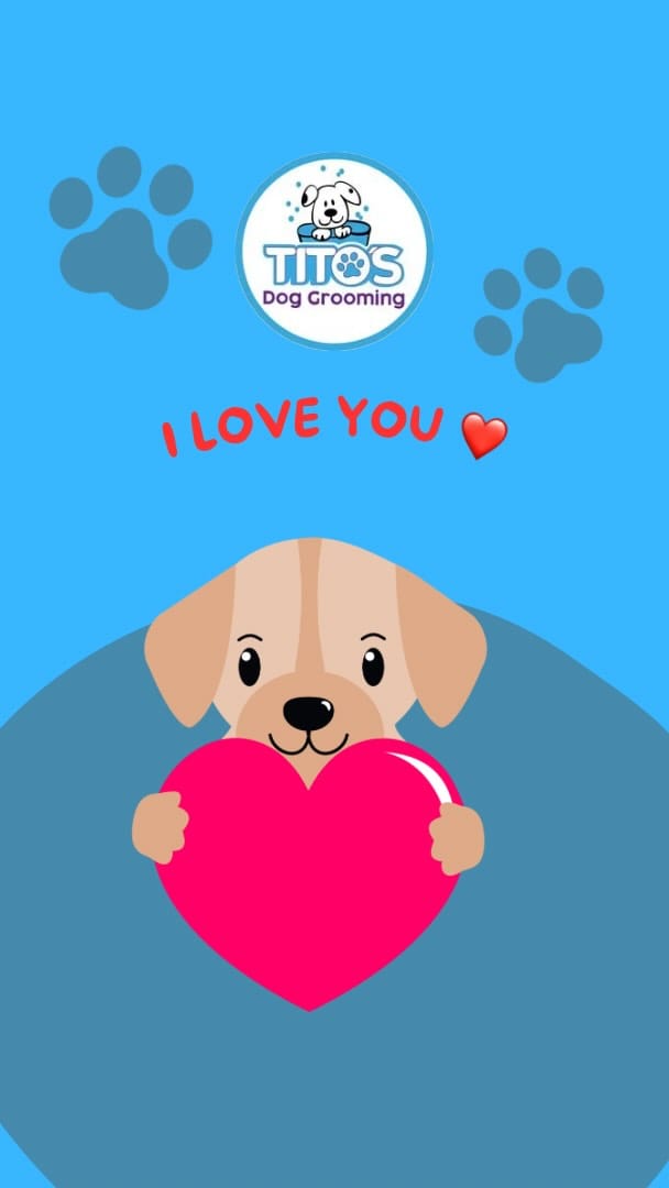 Post 9 by Tito's Dog Grooming on Instagram (video)