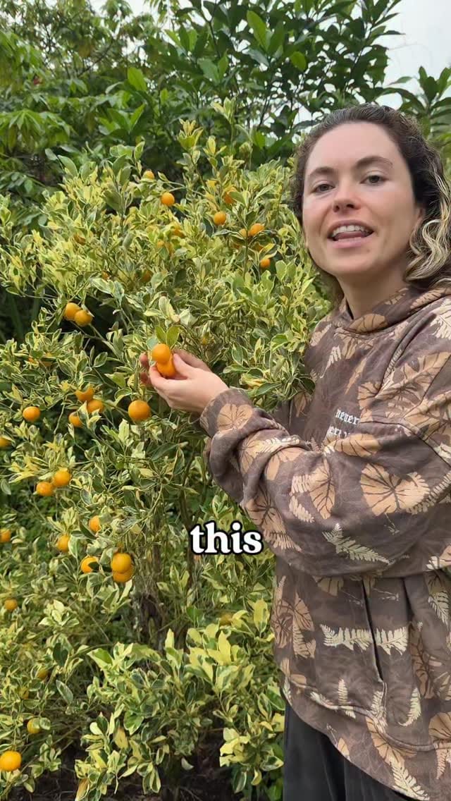 Post 10 by Kale & Cass on Instagram (video)