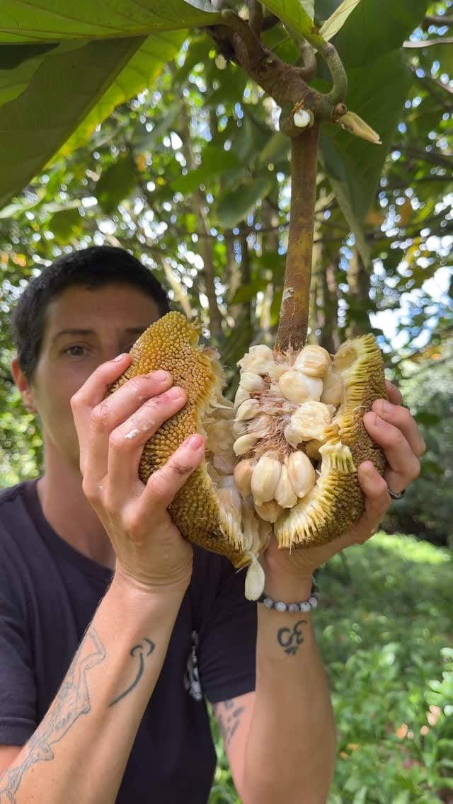 Post 8 by Kale & Cass on Instagram (video)