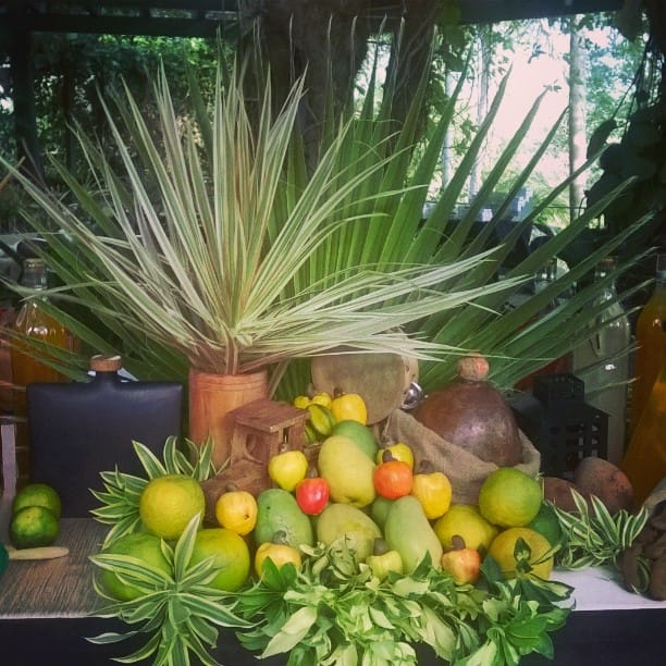 Post 5 by Hacienda Siesta Alegre on Instagram (image)