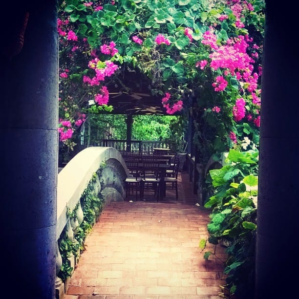 Post 10 by Hacienda Siesta Alegre on Instagram (image)