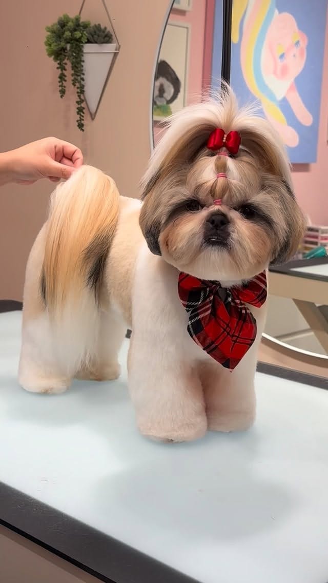 Post 8 by Ashley💖 on Instagram (video)
