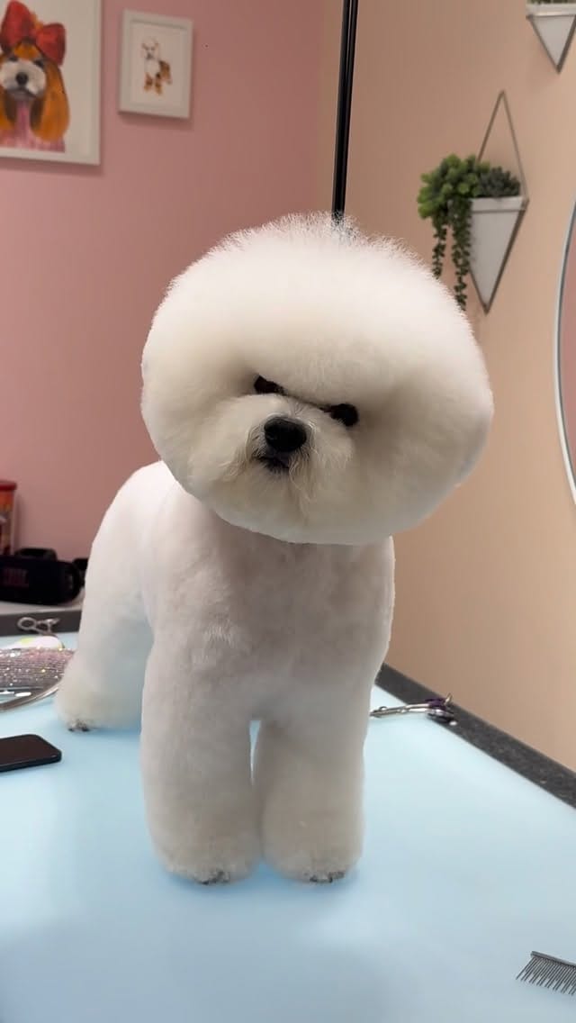 Post 4 by Ashley💖 on Instagram (video)