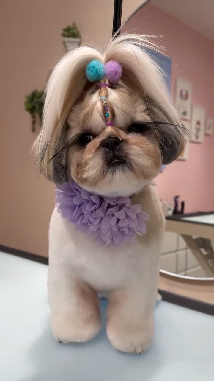 Post 2 by Ashley💖 on Instagram (video)