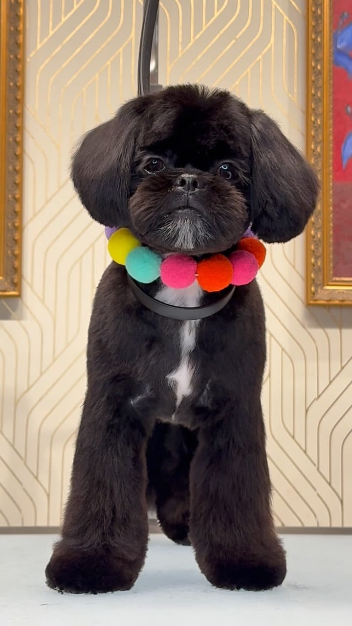 Post 10 by Ashley💖 on Instagram (video)