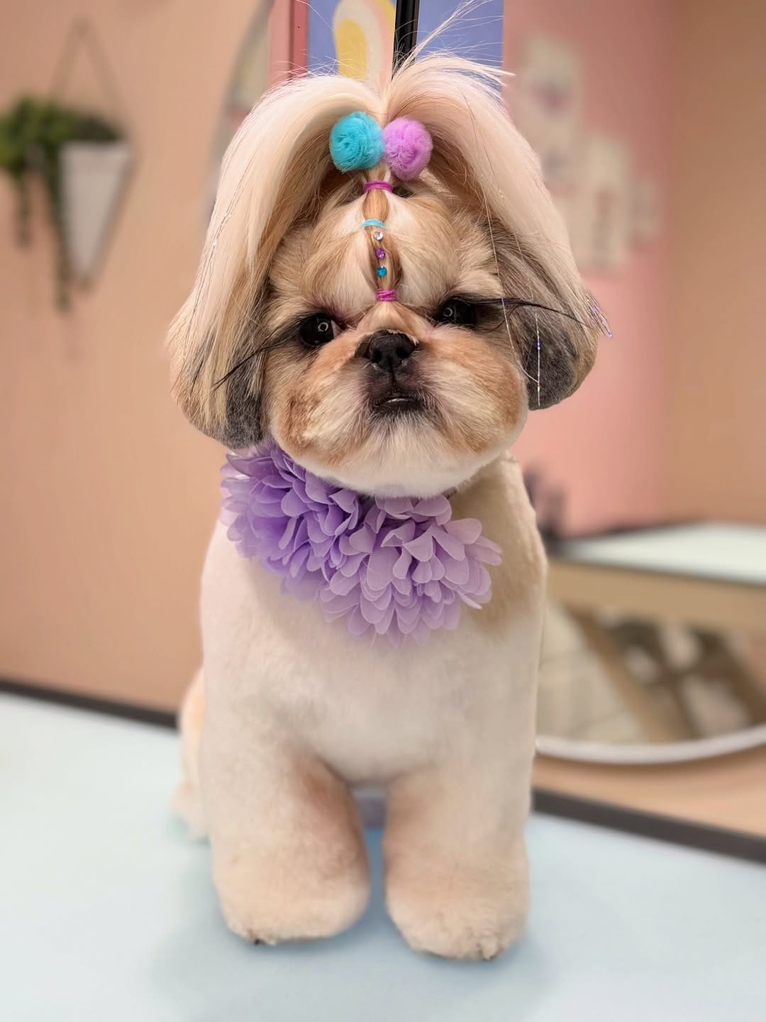 Post 3 by Ashley💖 on Instagram (carousel)