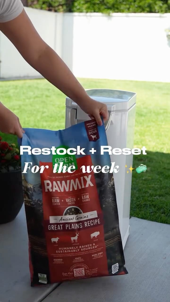 Post 4 by Luna ☾ | German Shepherd on Instagram (video)