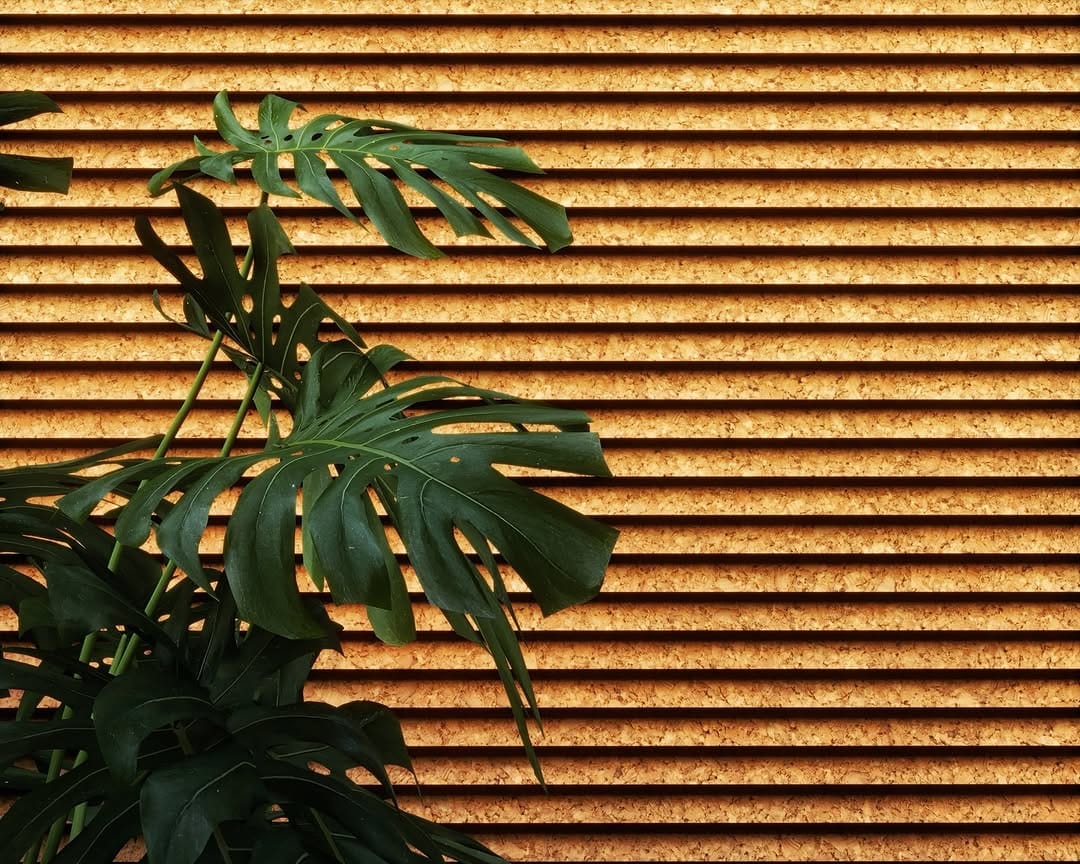 Post 5 by Monte Reed on Instagram (image)