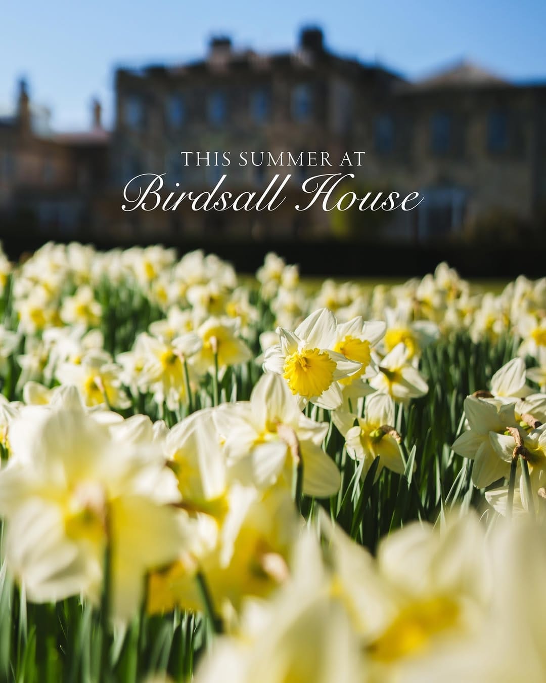 Post 10 by Birdsall House | Wedding & Event Venue on Instagram (carousel)