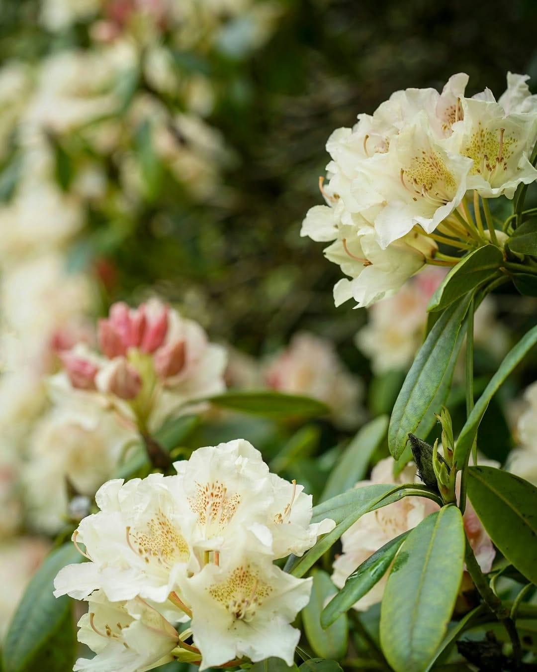 Post 2 by Birdsall House | Wedding & Event Venue on Instagram (carousel)