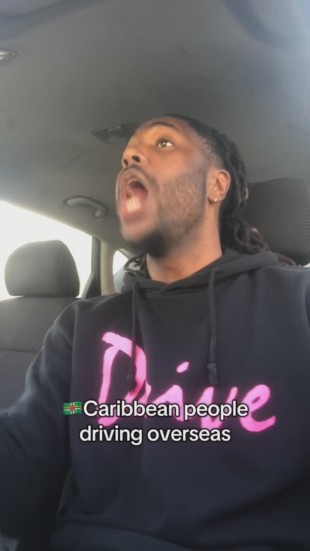 Post 10 by Trev Li on Instagram (video)