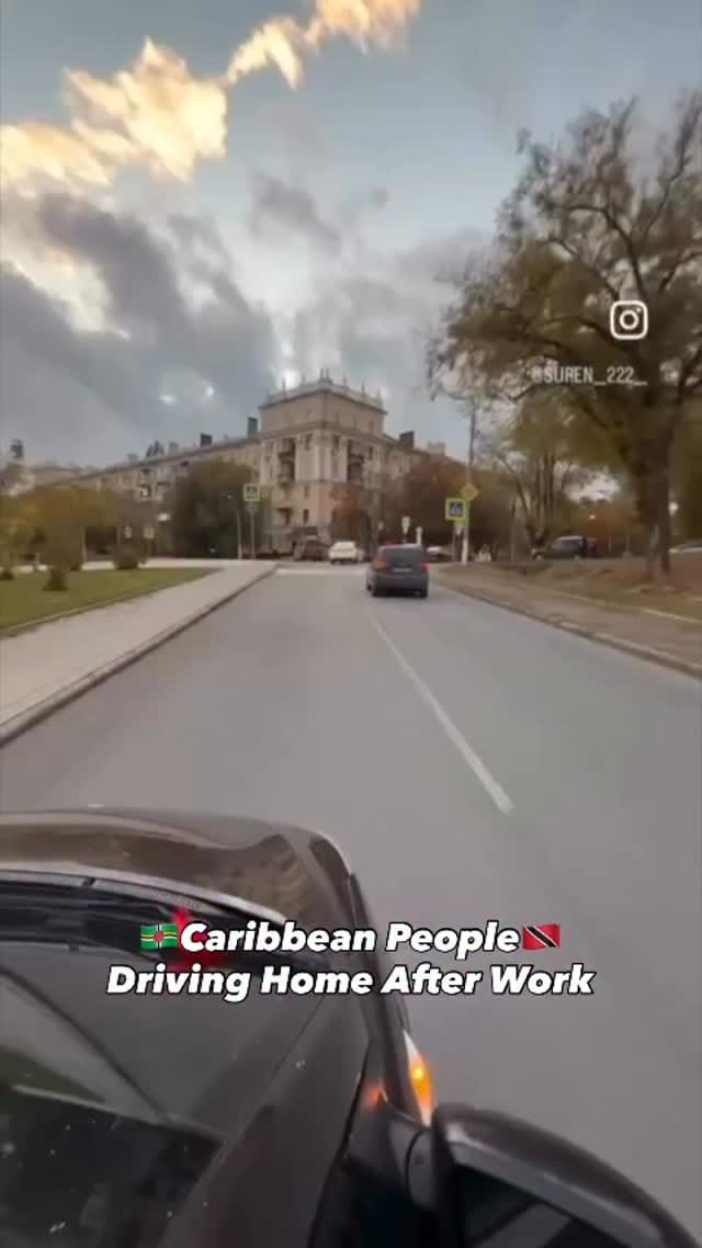 Post 9 by Trev Li on Instagram (video)
