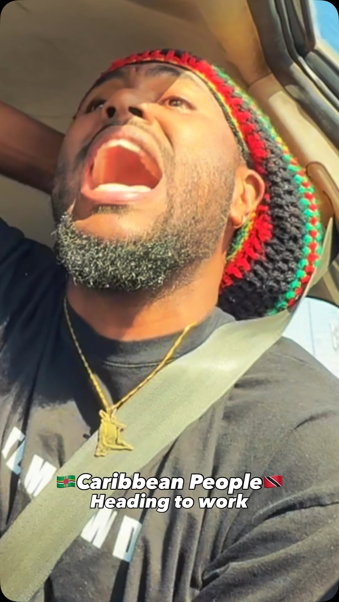 Post 6 by Trev Li on Instagram (video)