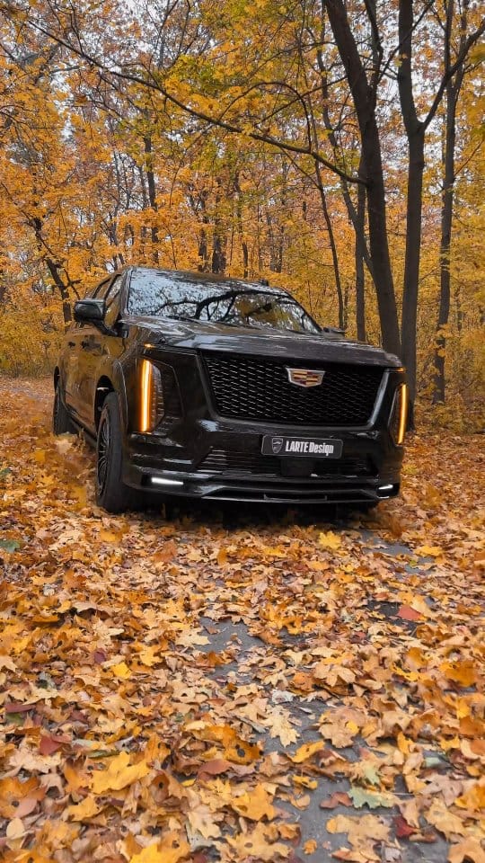 Post 7 by cadillac on Instagram (video)
