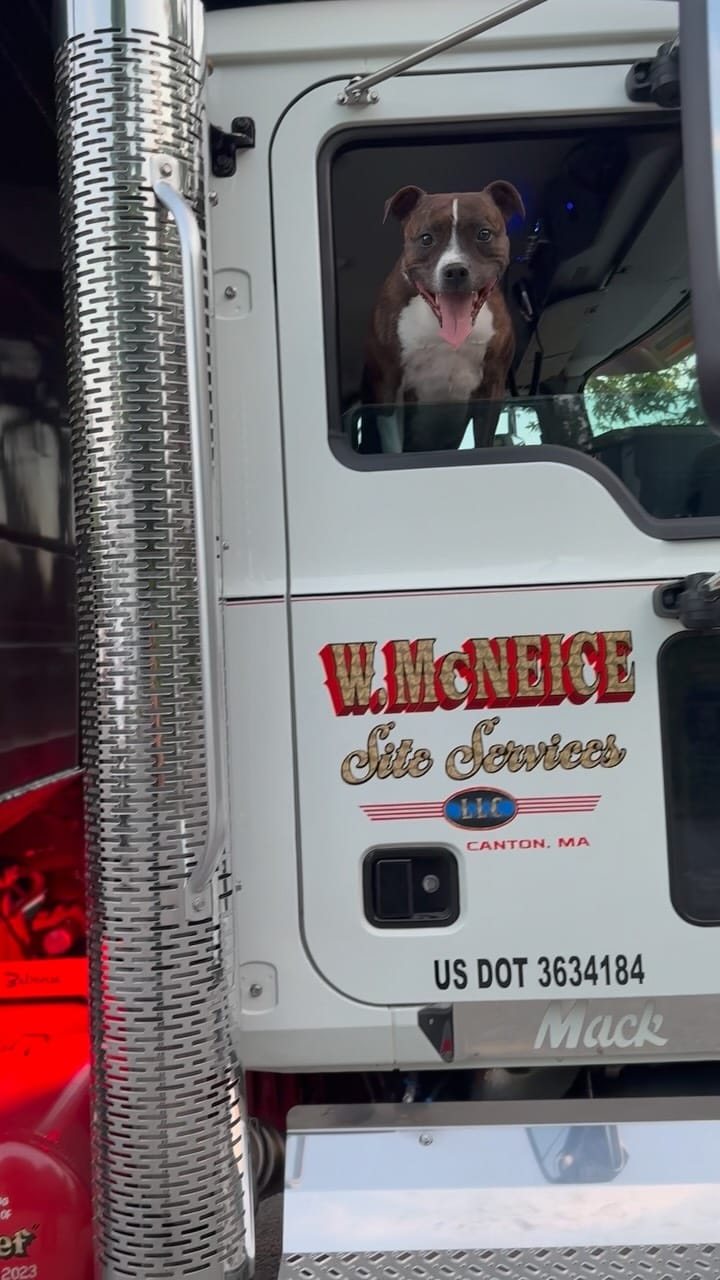 Post 8 by W. McNeice Site Services on Instagram (video)