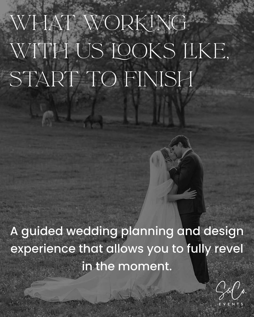 Post 3 by Joanna Lewis | Nashville Wedding Planner & Event Designer on Instagram (carousel)